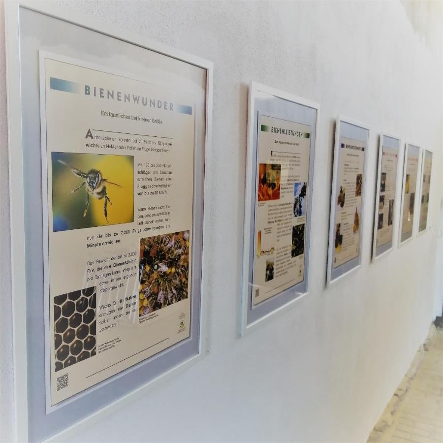 Gaestequartier Mittendrin In كوسفيج المظهر الخارجي الصورة